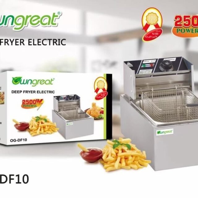 OwnGreat 6Litres Single Electric Deep Fryer OG-DF10